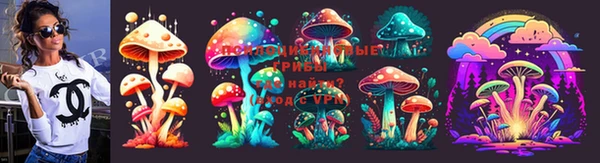 apvp Нефтекумск