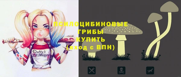 первитин Нея