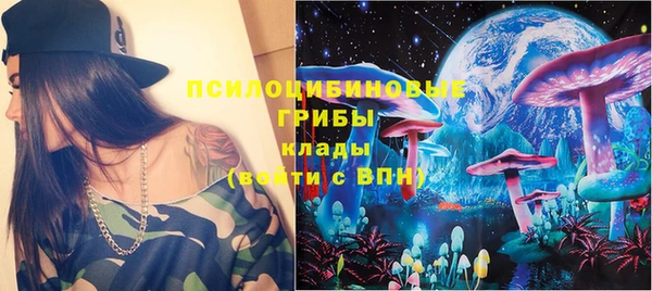 ешки Нефтегорск