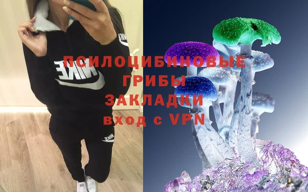ешки Нефтегорск