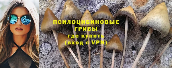 apvp Нефтекумск