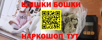 тгк Кингисепп