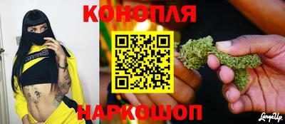 Альфа ПВП Заволжье