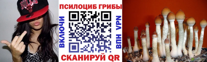 Псилоцибиновые грибы ЛСД  blacksprut зеркало  Нижний Тагил 