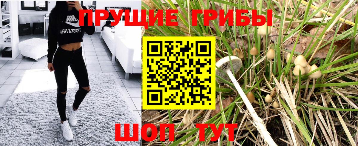 Галлюциногенные грибы Psilocybe  Вход с VPN  Нижний Тагил 